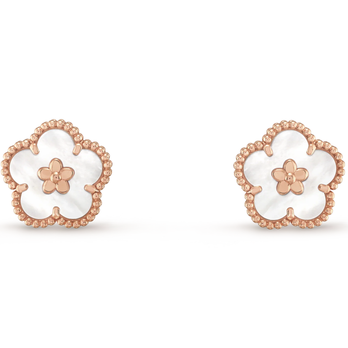 Noble Lucky Spring White Blossom Roes Gold Earrings