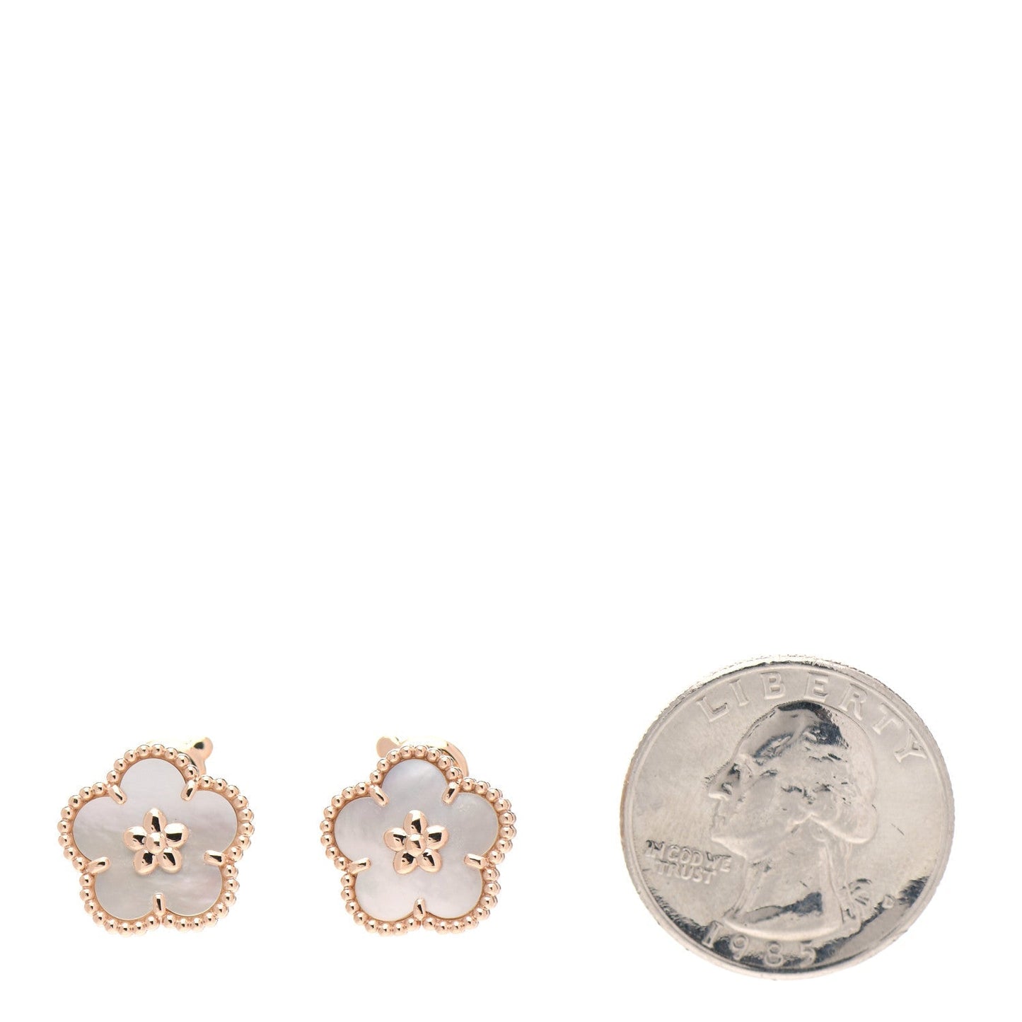 Noble Lucky Spring White Blossom Roes Gold Earrings