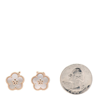 Noble Lucky Spring White Blossom Roes Gold Earrings