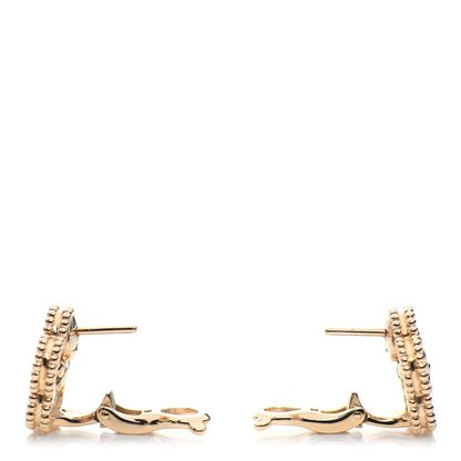 Noble Lucky Spring White Blossom Roes Gold Earrings