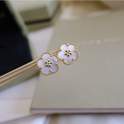 Noble Lucky Spring White Blossom Roes Gold Earrings